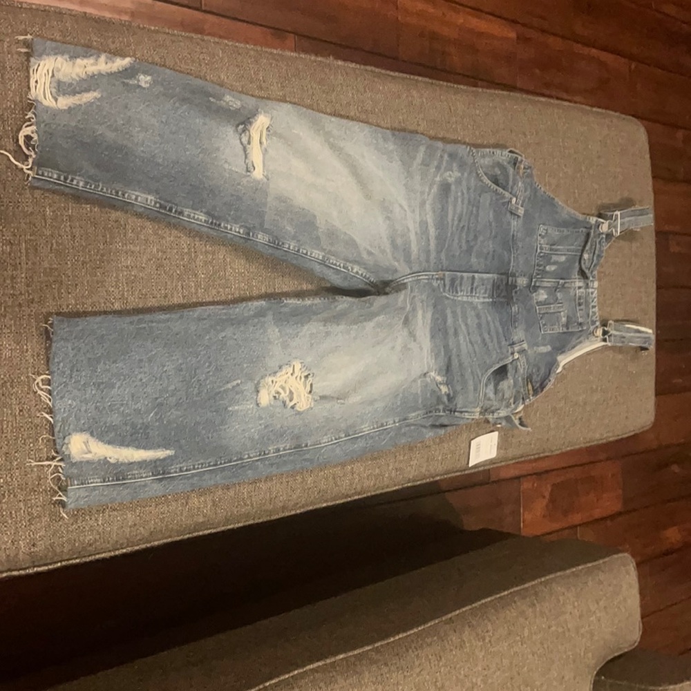 Free people overalls